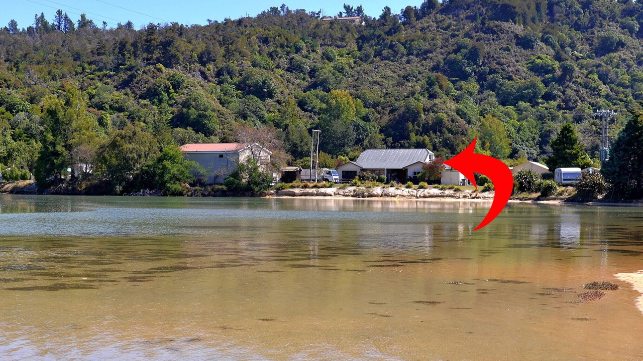 Photo of Others in Ngaio Bay