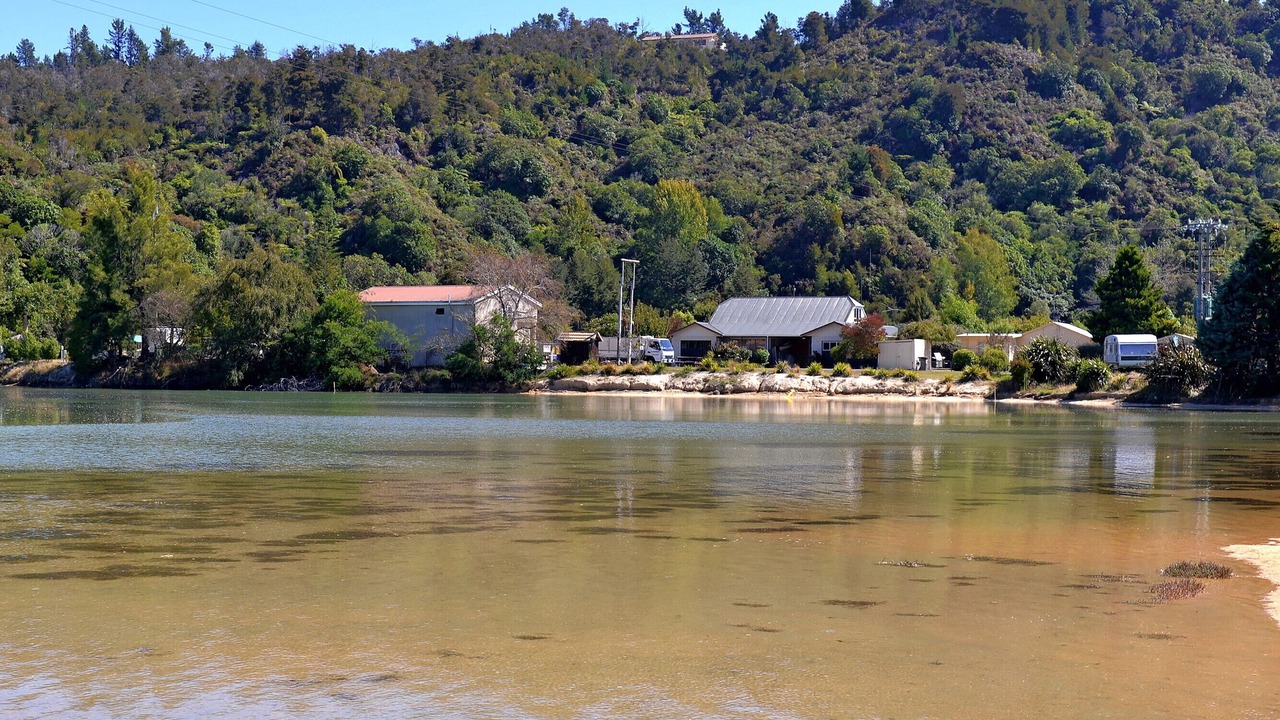 Photo of Others in Ngaio Bay