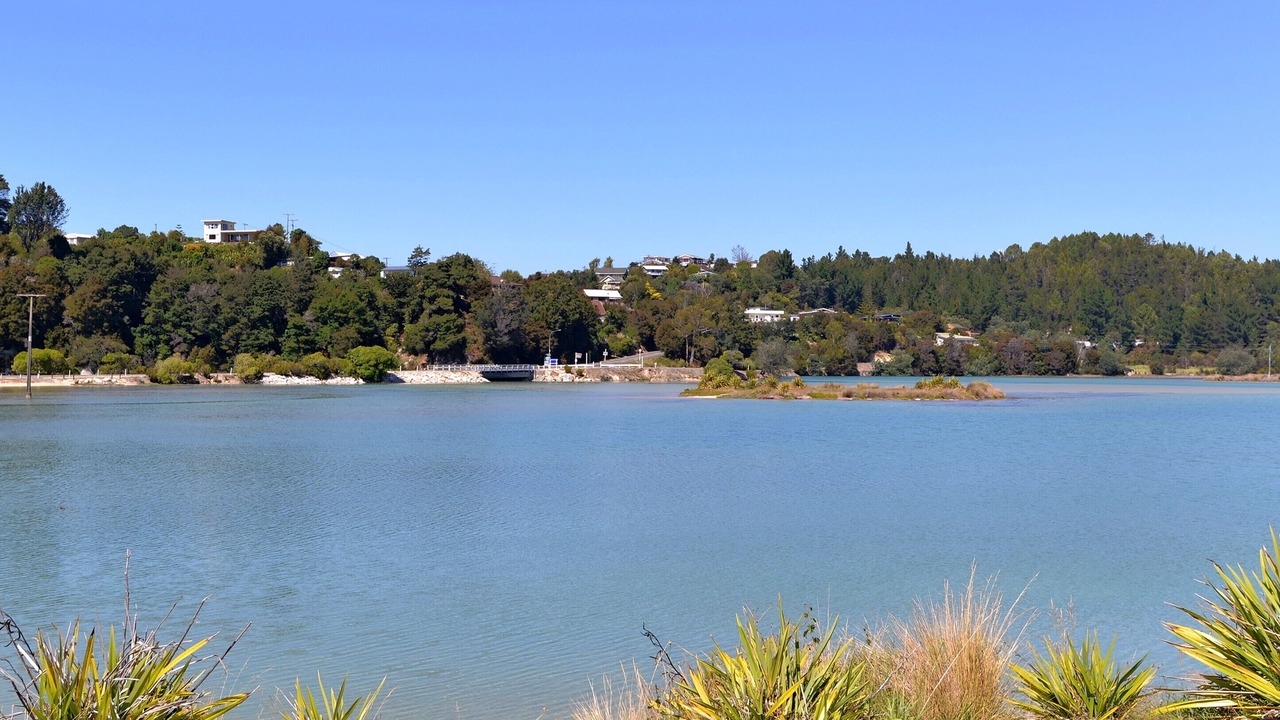 Photo of Others in Ngaio Bay
