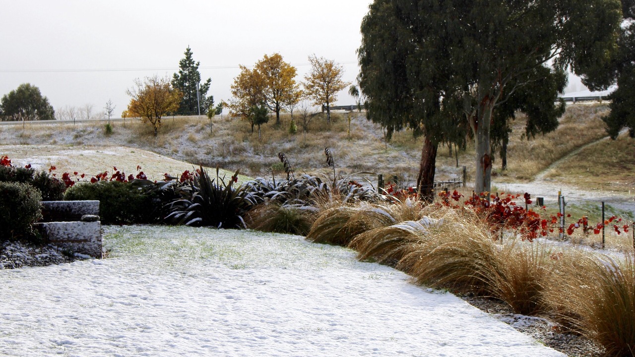 Photo of Outdoor in Lowburn