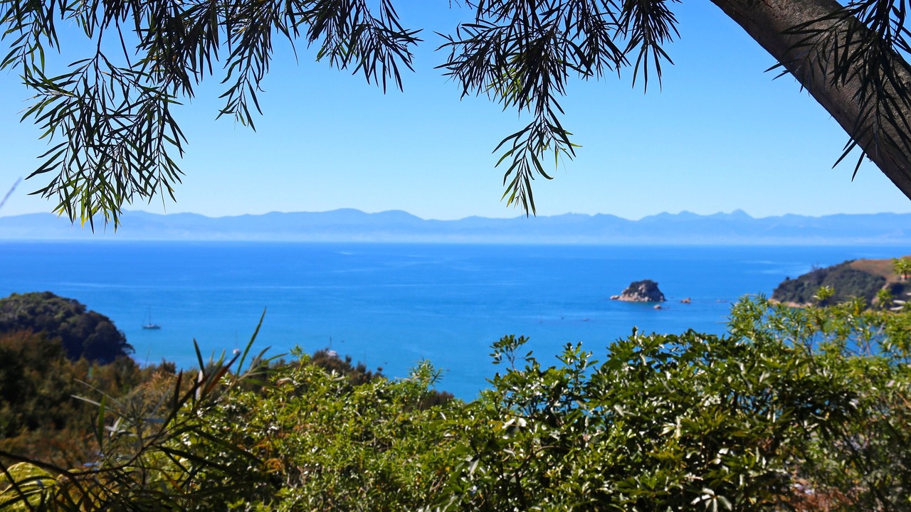 Photo of Others in Ngaio Bay