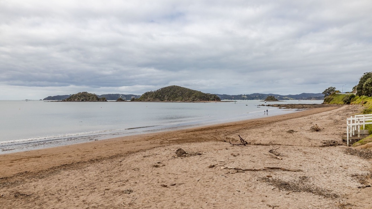 Photo of Others in Paihia
