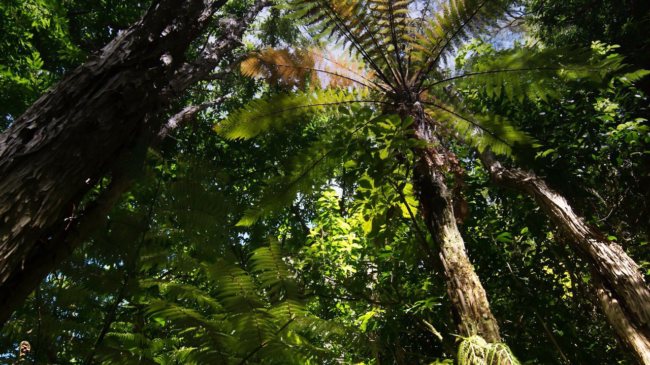 Photo of Outdoor in Marahau