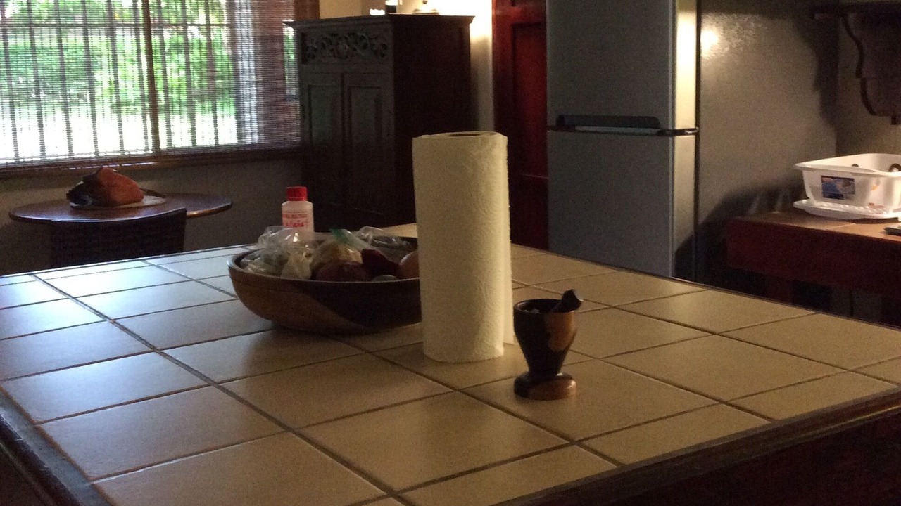 Photo of Kitchen in Sierpe