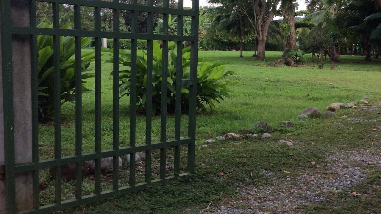 Photo of Outdoor in Sierpe