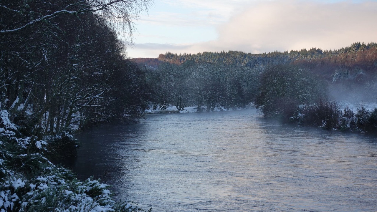 Photo of Others in Cannich