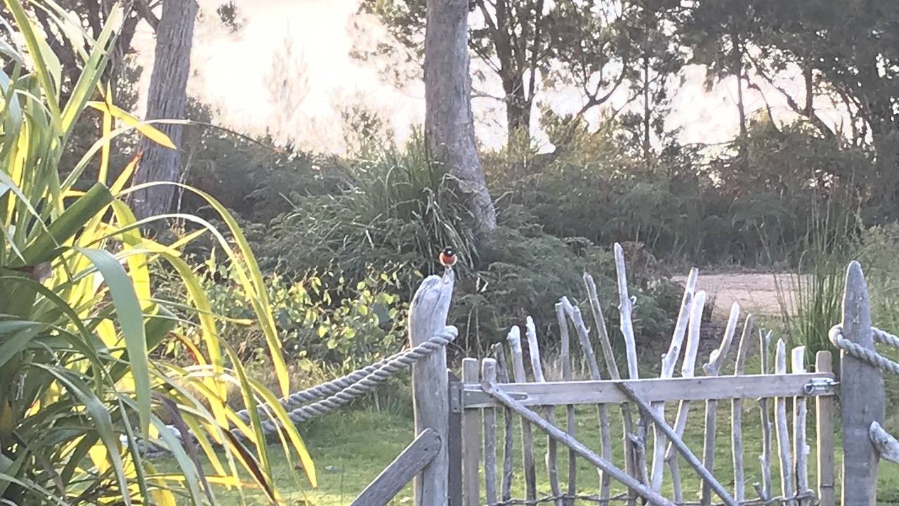 Photo of Outdoor in Binalong Bay
