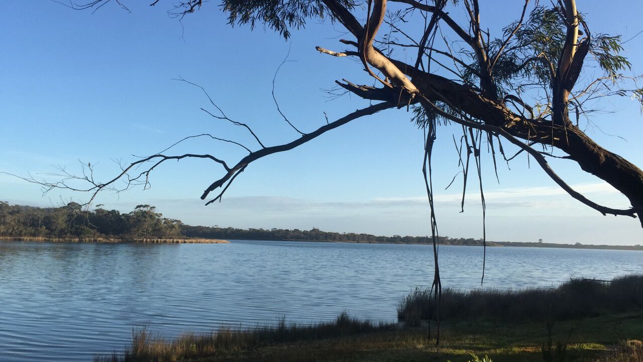Photo of Others in Binalong Bay