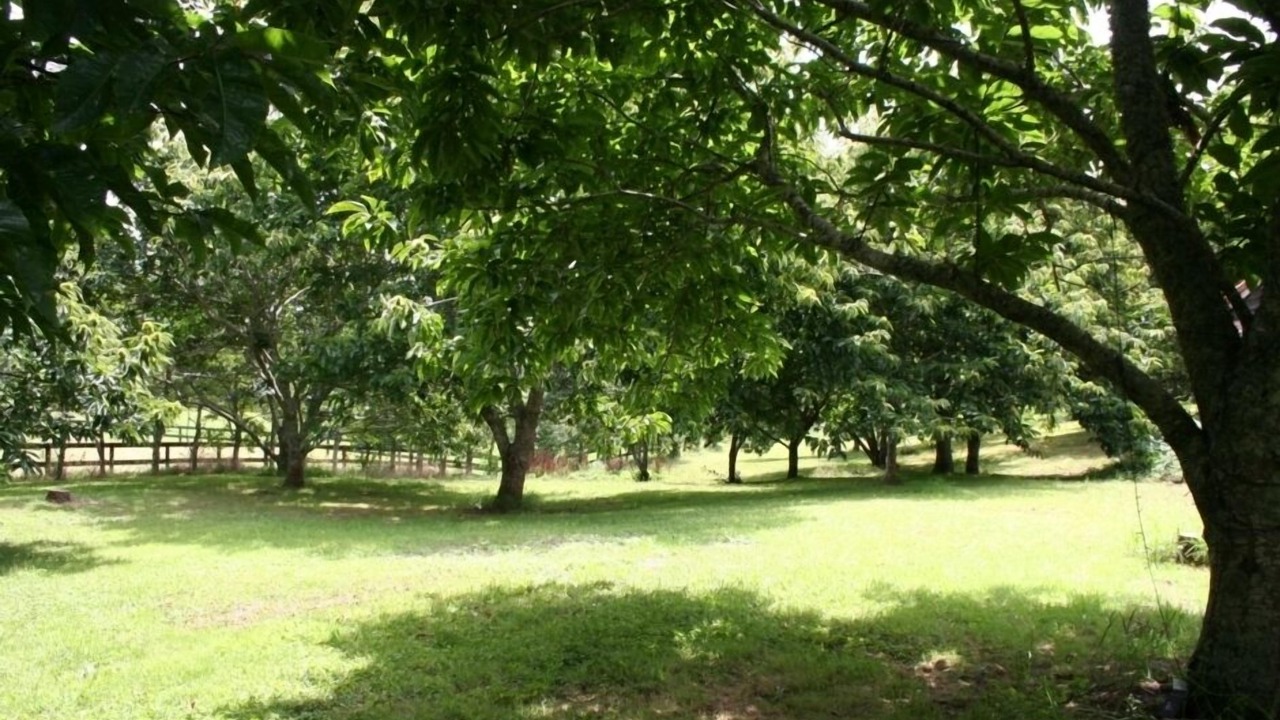 Photo of Others in Auckland