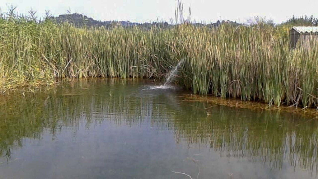 Photo of Outdoor in Petaleia