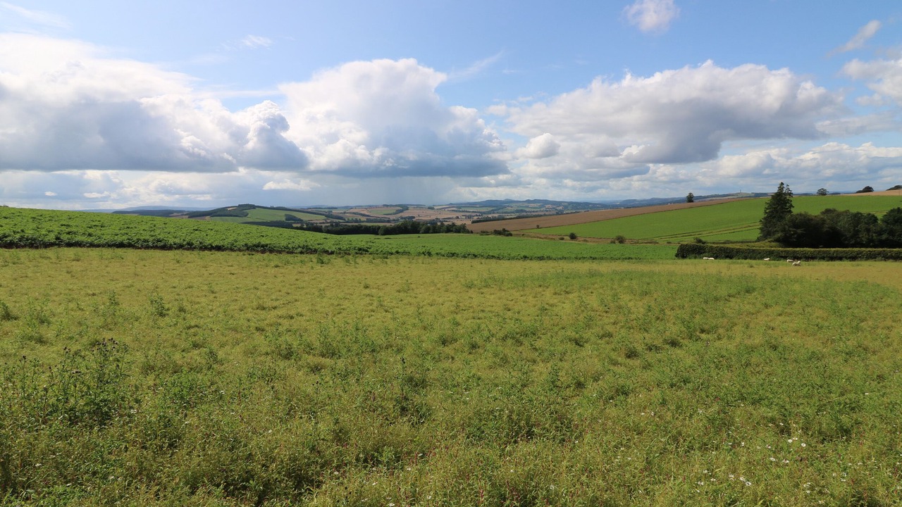 Photo of Outdoor in Kelso