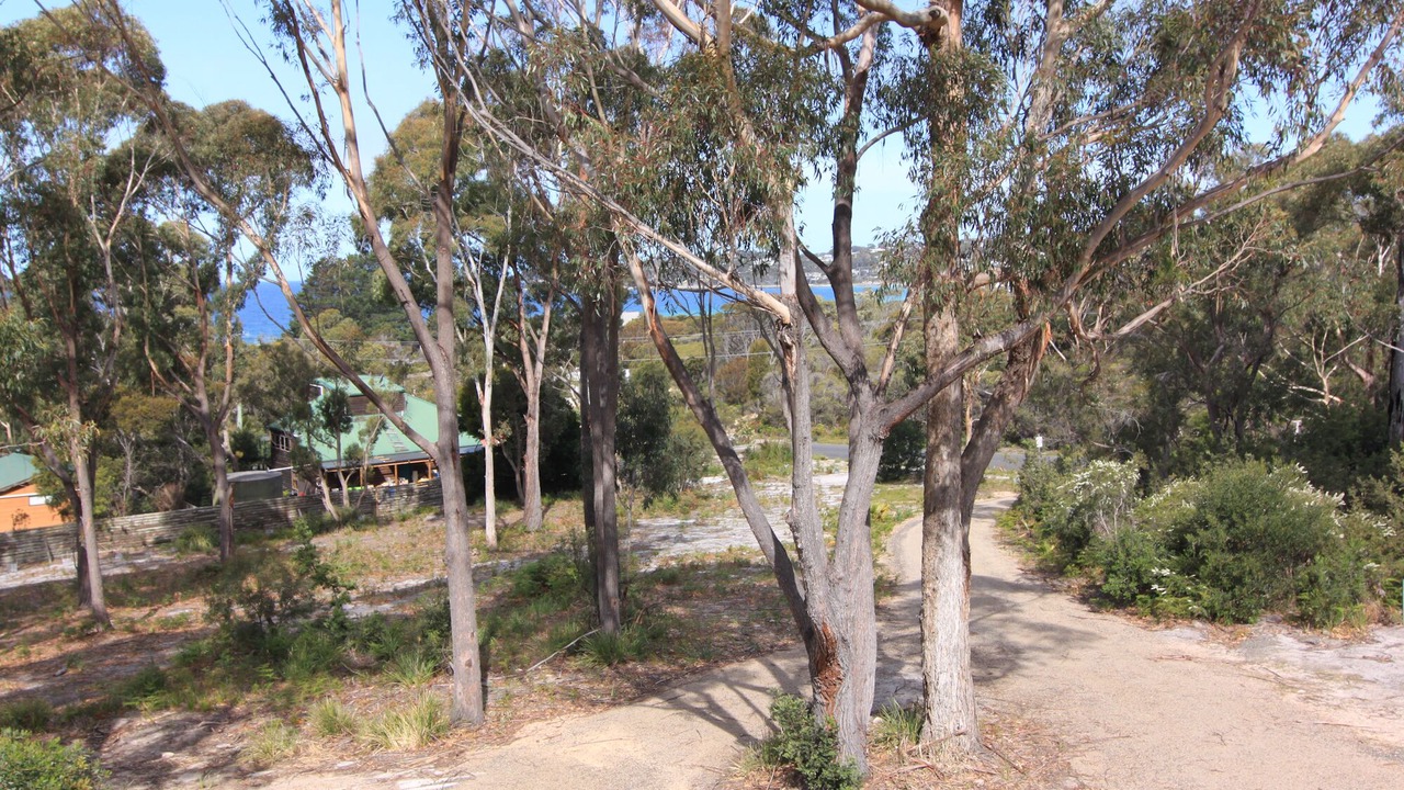 Photo of Others in Binalong Bay