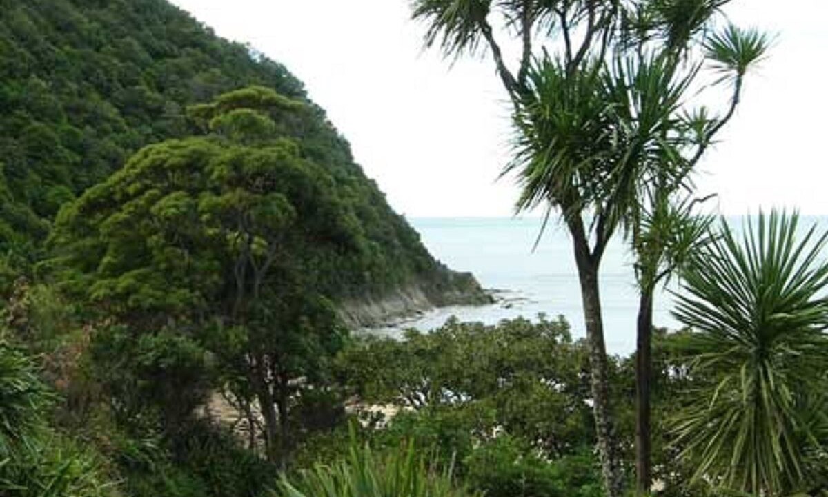 Photo of Outdoor in Tokomaru Bay