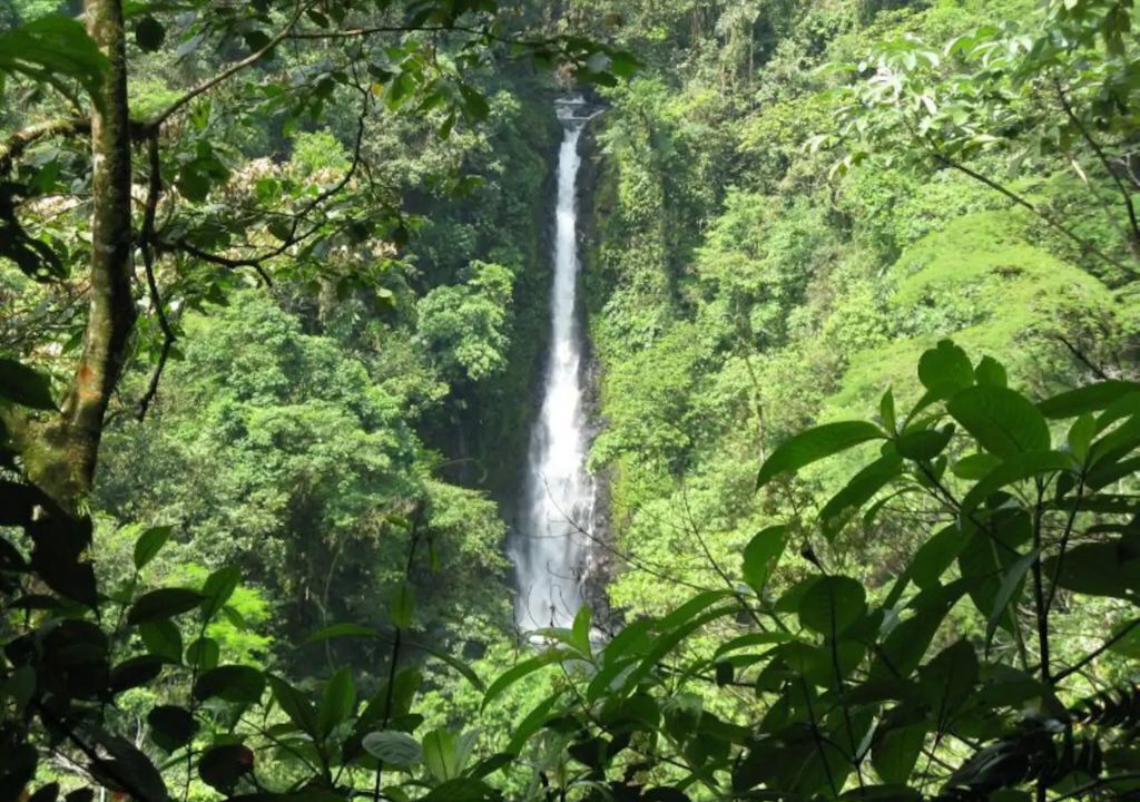 Photo of Outdoor in Roble