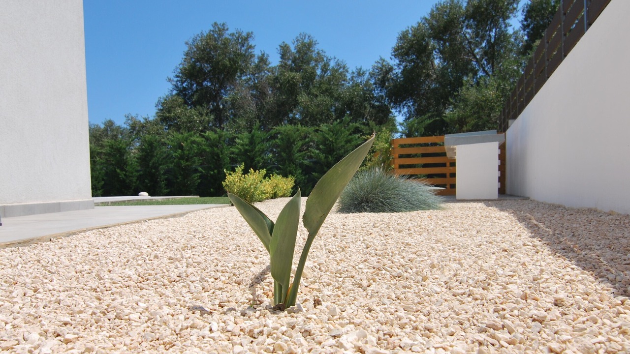 Photo of Outdoor in Pesada
