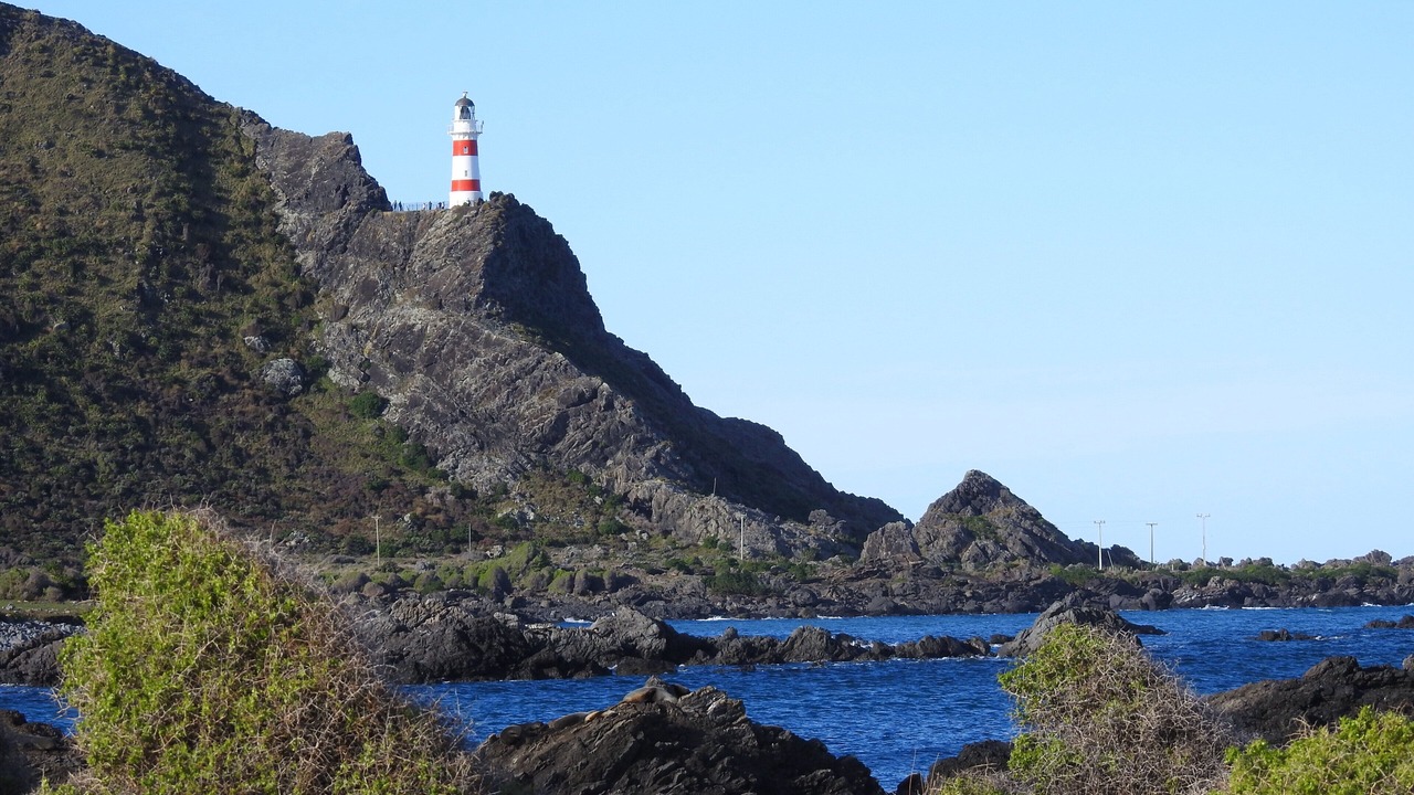 Photo of Others in Ngawi