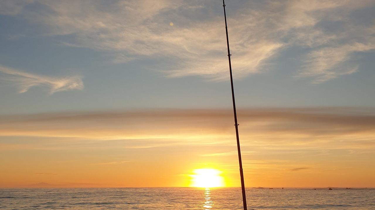 Photo of Others in Ngawi