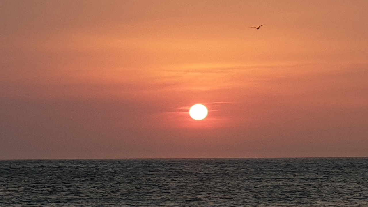 Photo of Others in Ngawi