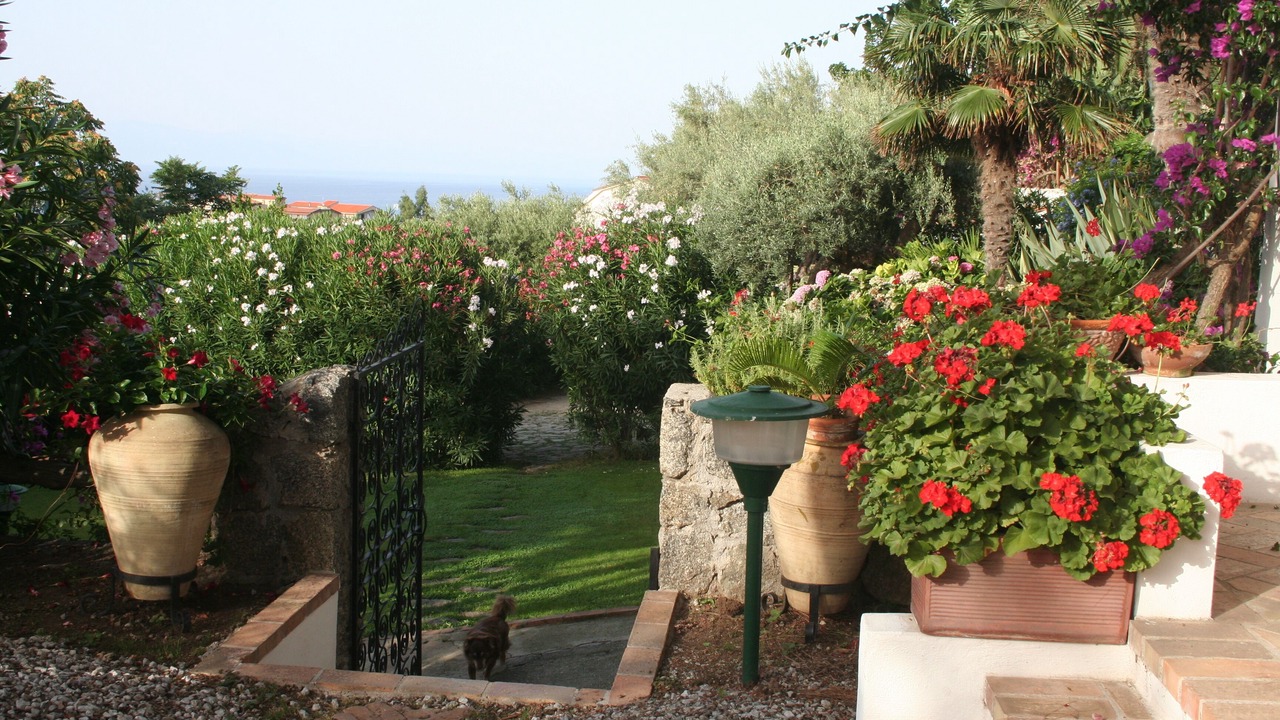 Photo of Outdoor in Tropea