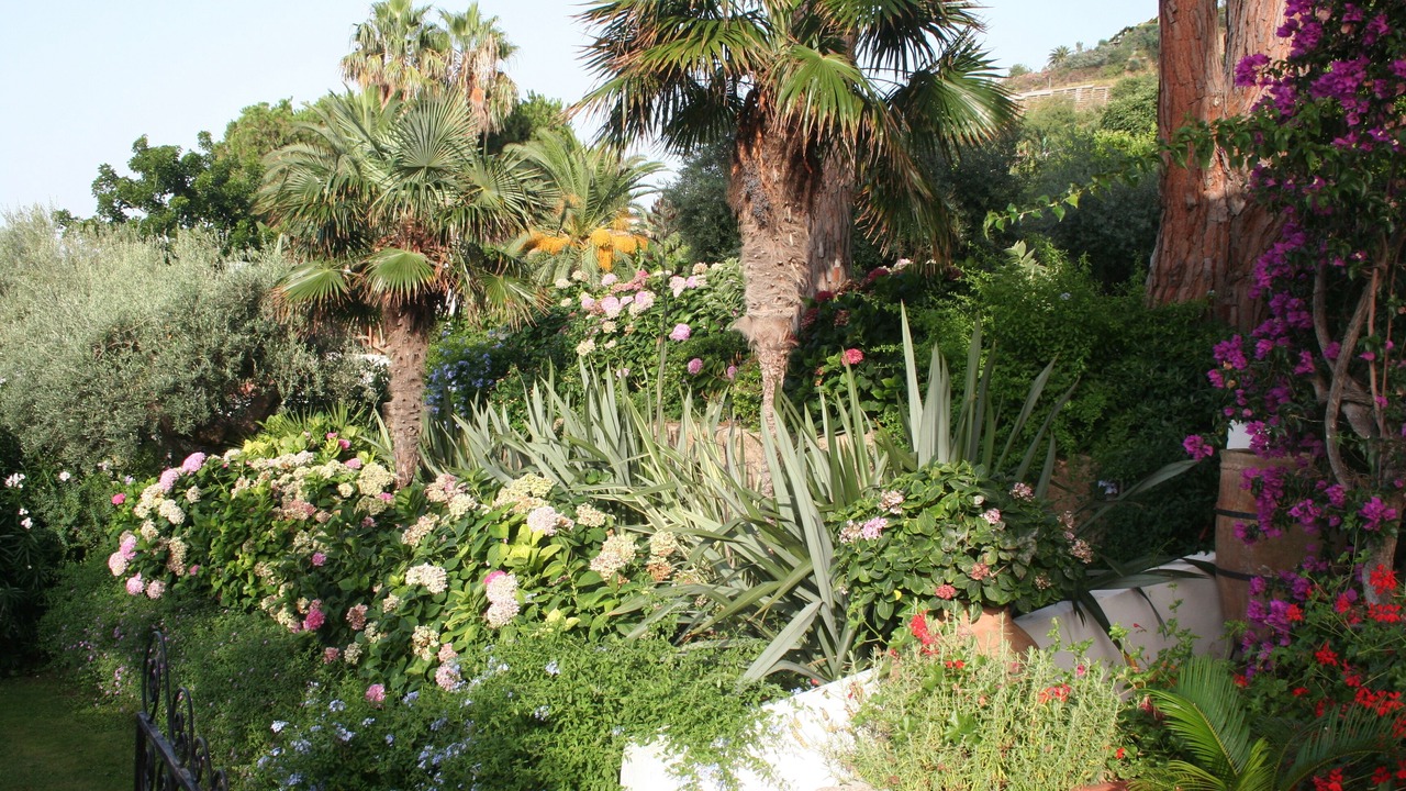 Photo of Outdoor in Tropea