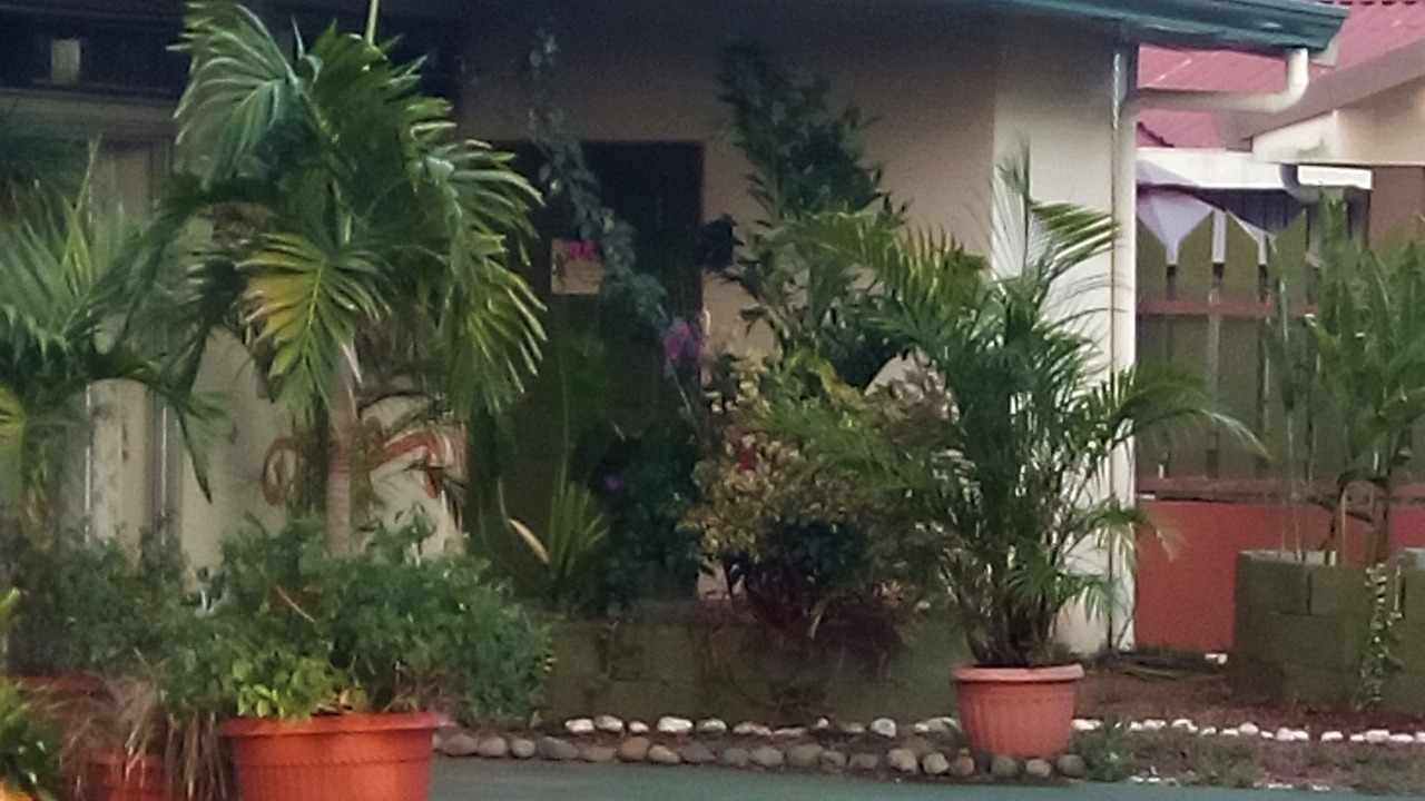 Photo of Outdoor in San Isidro de Grecia