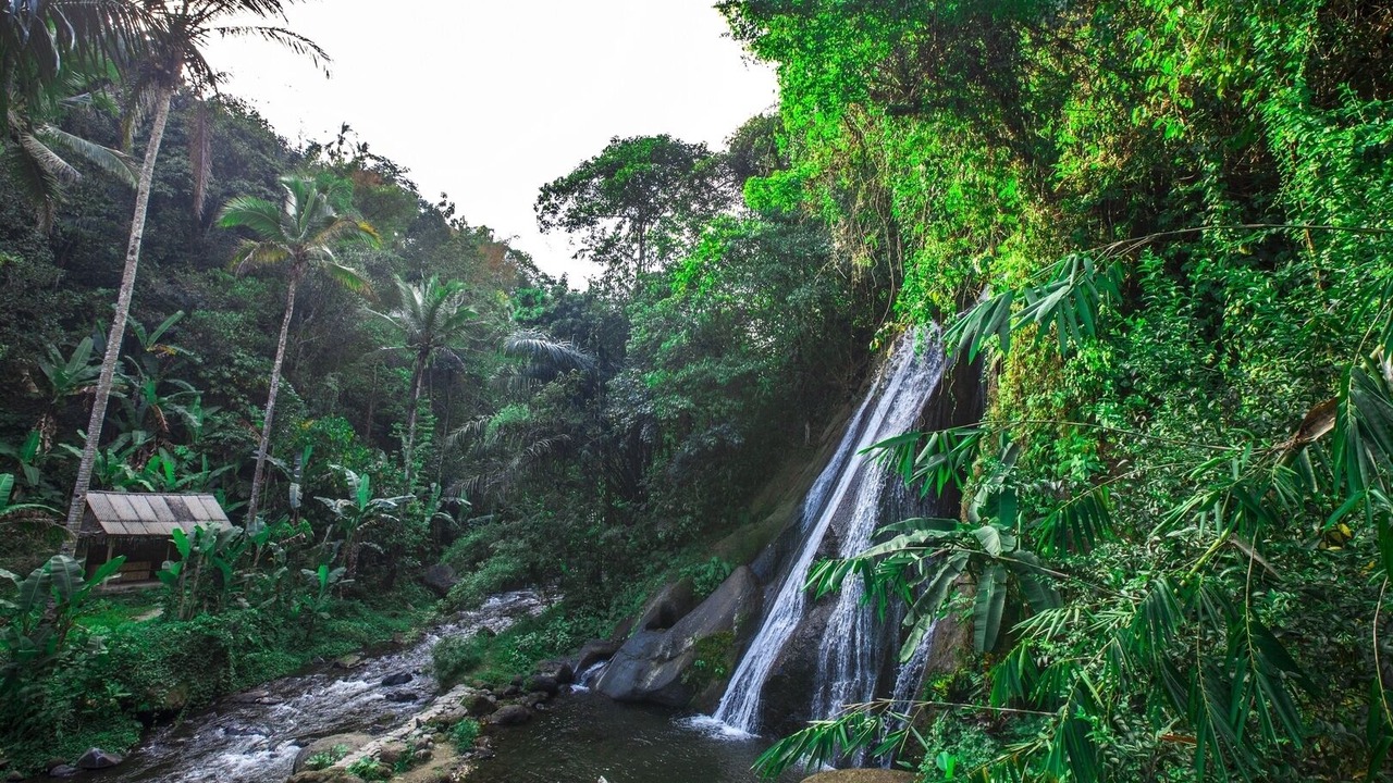 Photo of Outdoor in Mekarsari