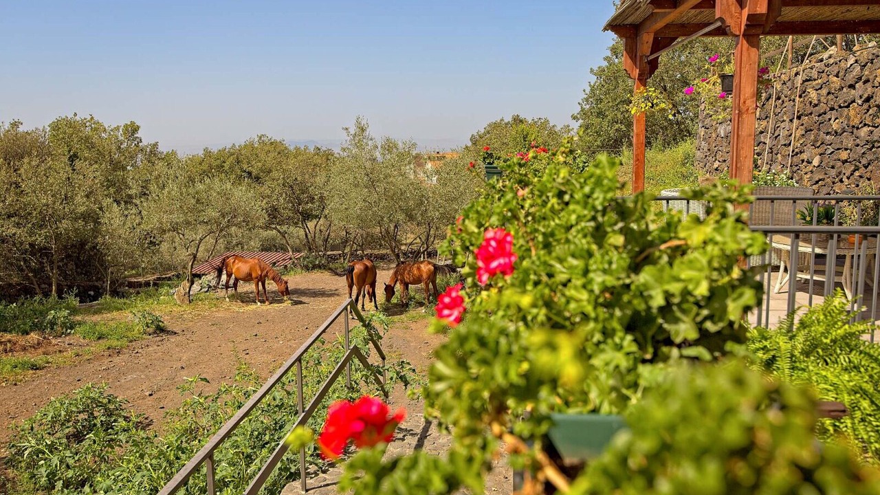 Photo of Outdoor in Ragalna