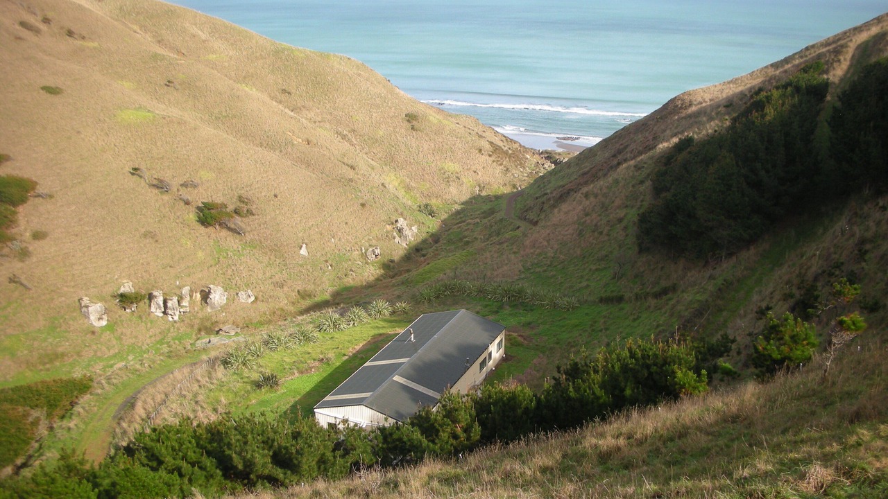 Photo of Outdoor in Te Akau
