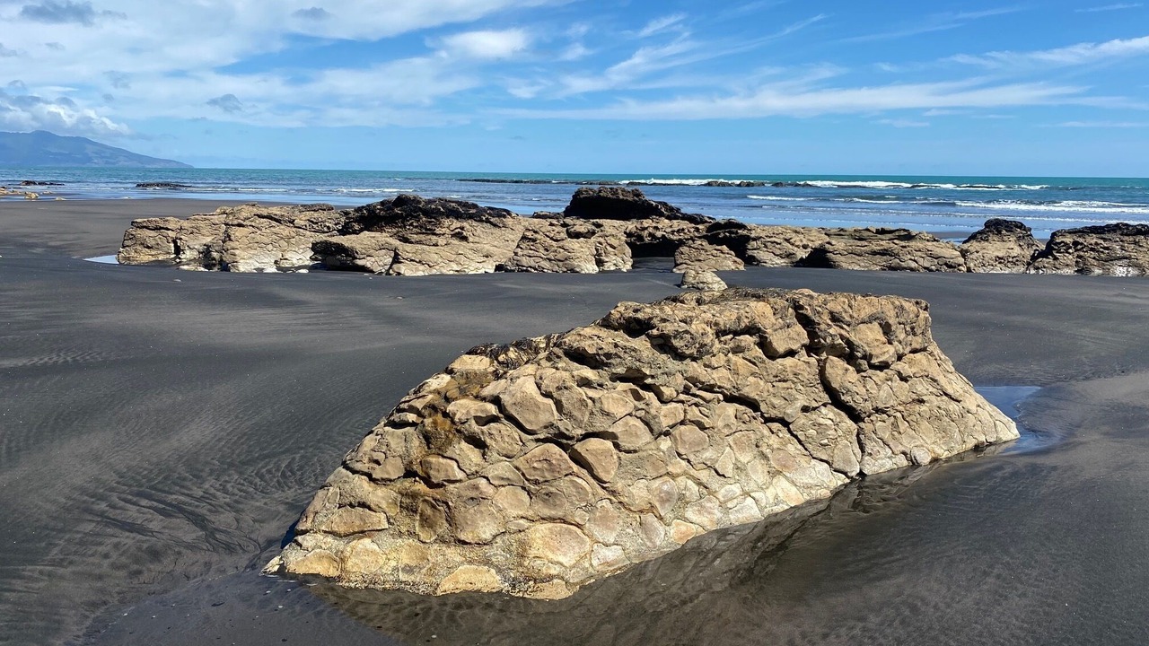 Photo of Others in Te Akau