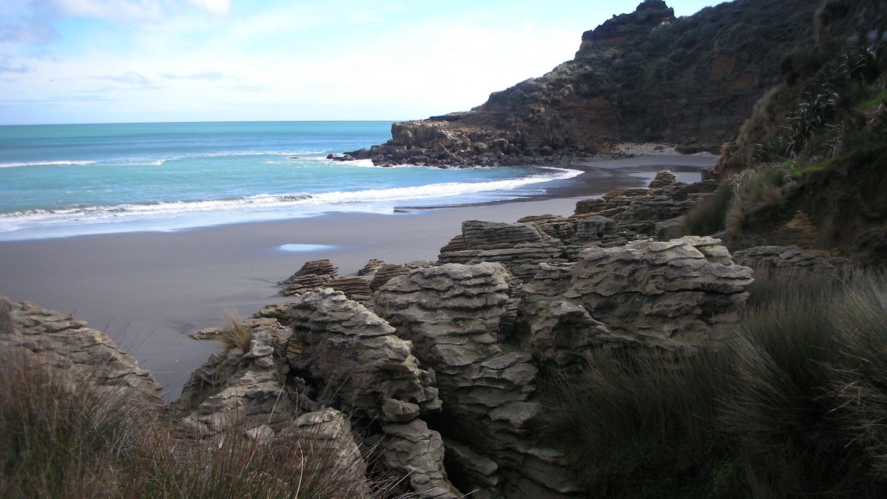 Photo of Others in Te Akau