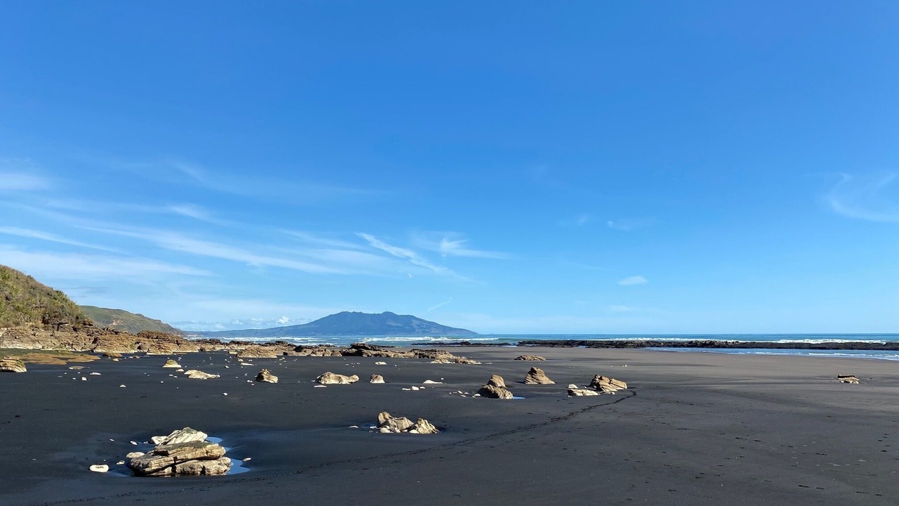 Photo of Others in Te Akau