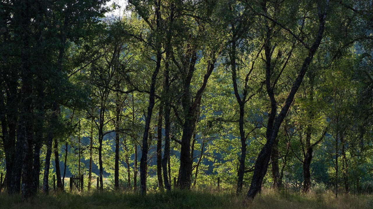 Photo of Outdoor in Cannich