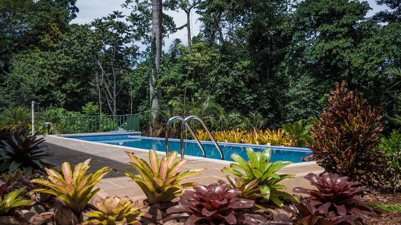 Photo of Outdoor in Punta Uva