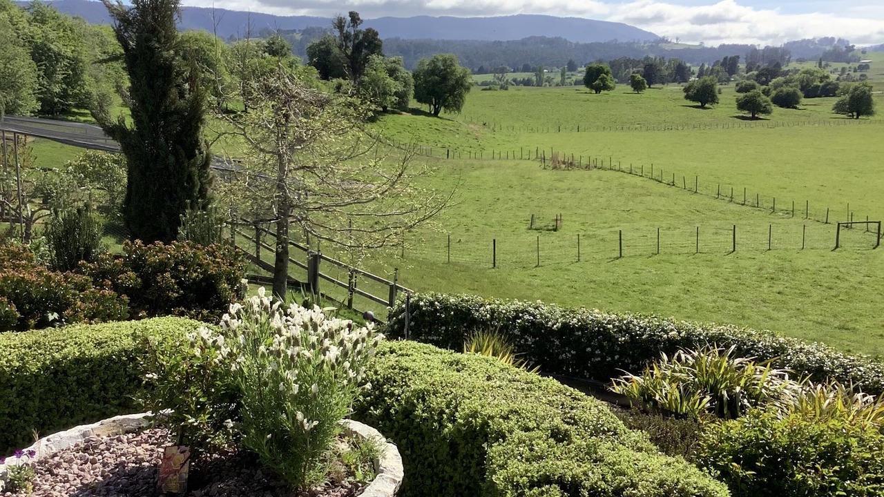 Photo of Outdoor in Mole Creek