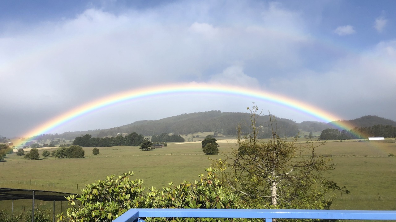 Photo of Patio Balcony in Mole Creek