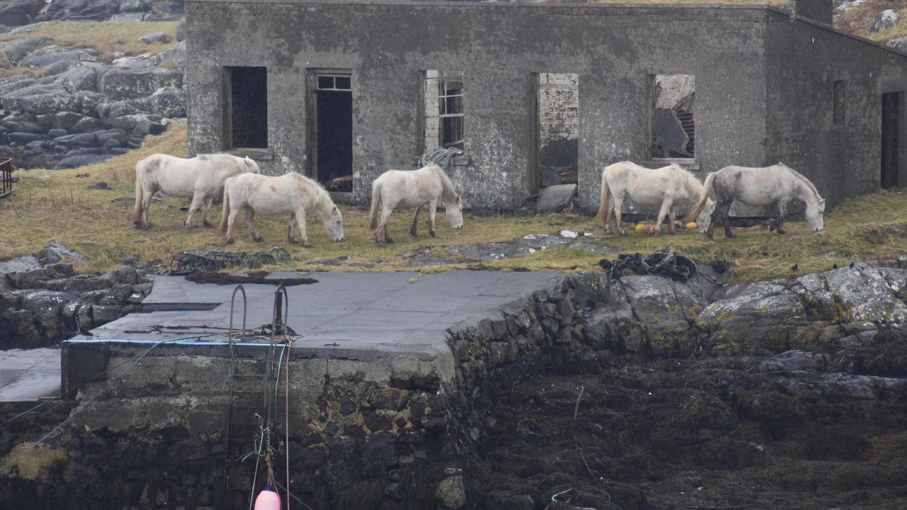 Photo of Others in Eriskay