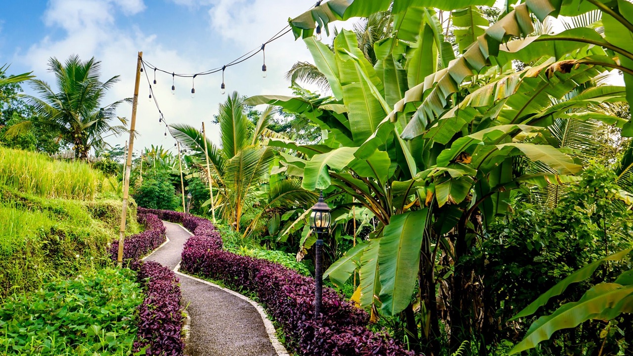 Photo of Outdoor in Tampaksiring