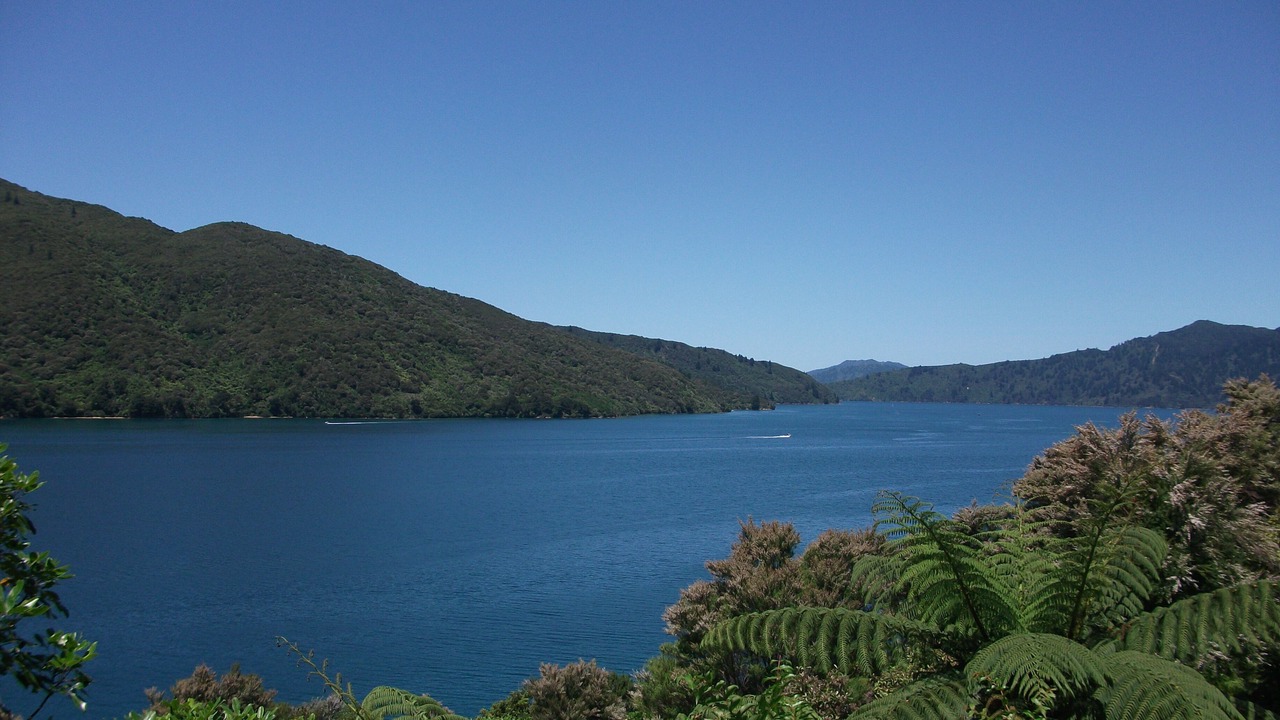 Photo of Others in Furneaux