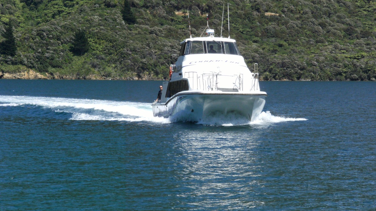 Photo of Others in Furneaux