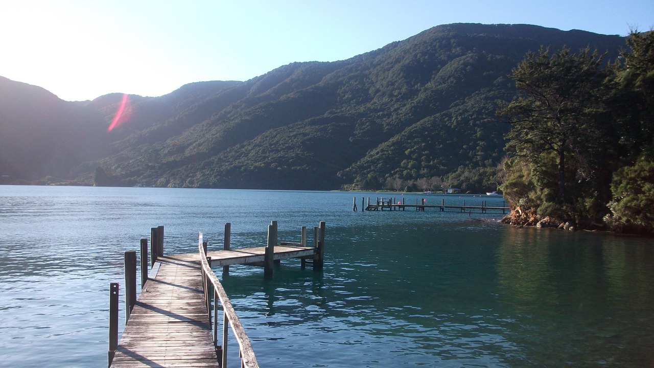Photo of Others in Furneaux