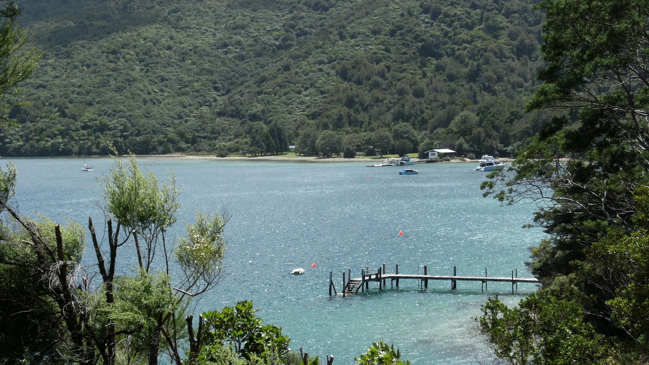 Photo of Others in Furneaux