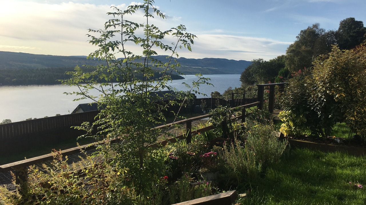 Photo of Outdoor in Lochend