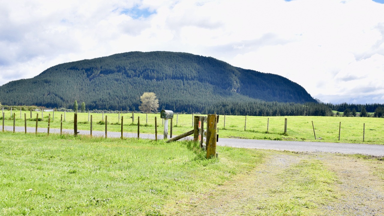 Photo of Outdoor in Atiamuri