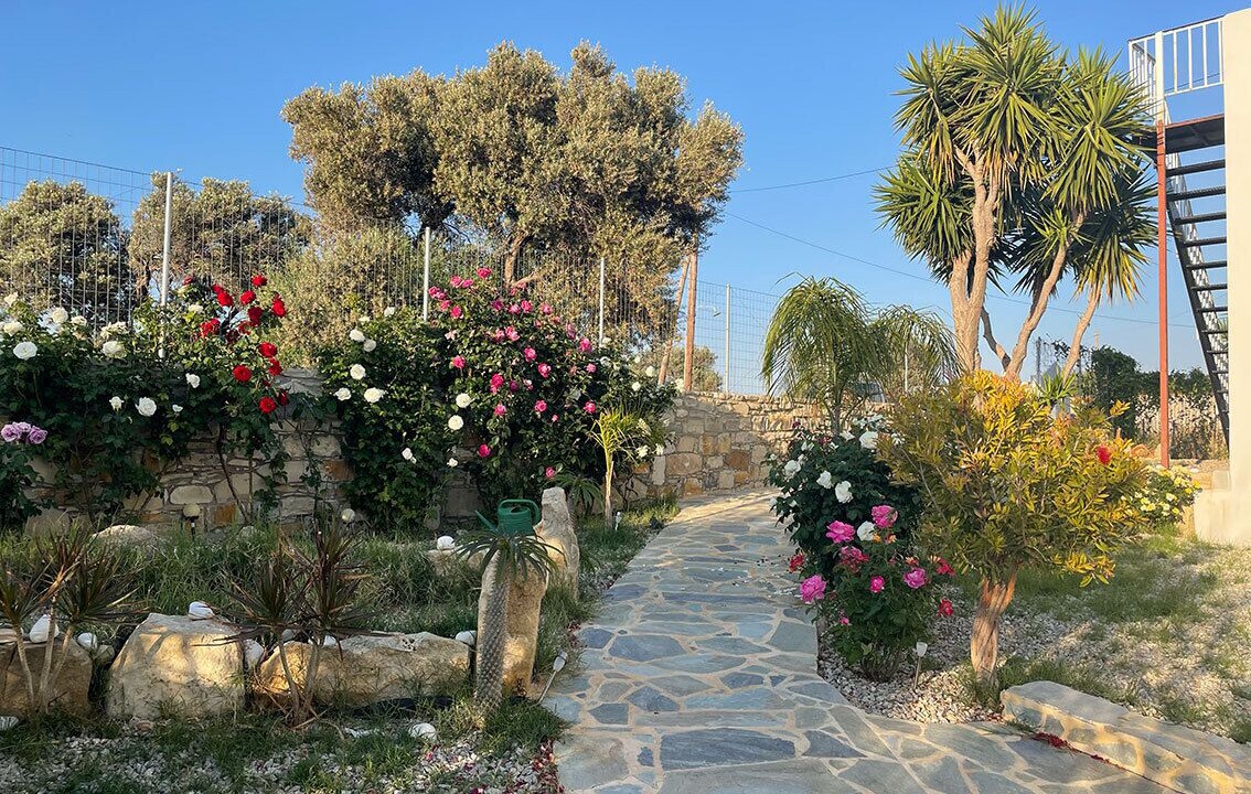 Photo of Outdoor in Pitsidia