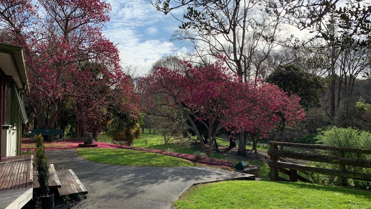 Photo of Outdoor in Puketapu