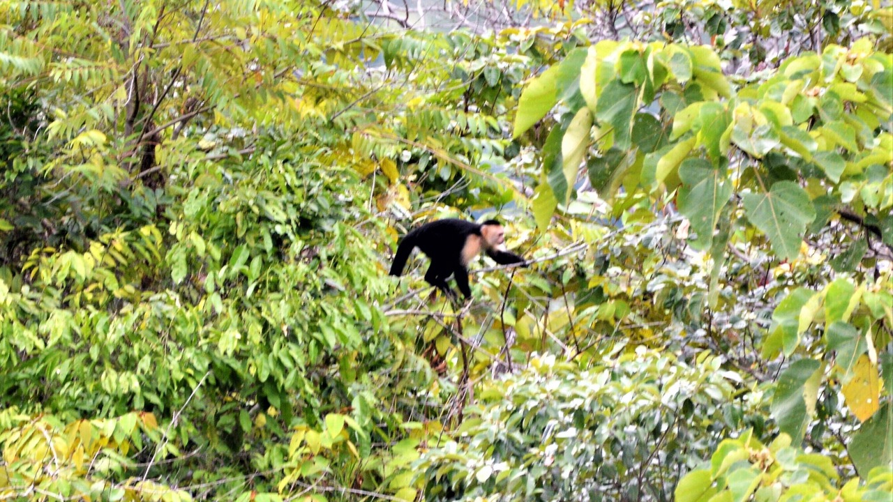 Photo of Outdoor in Ciudad Cortes