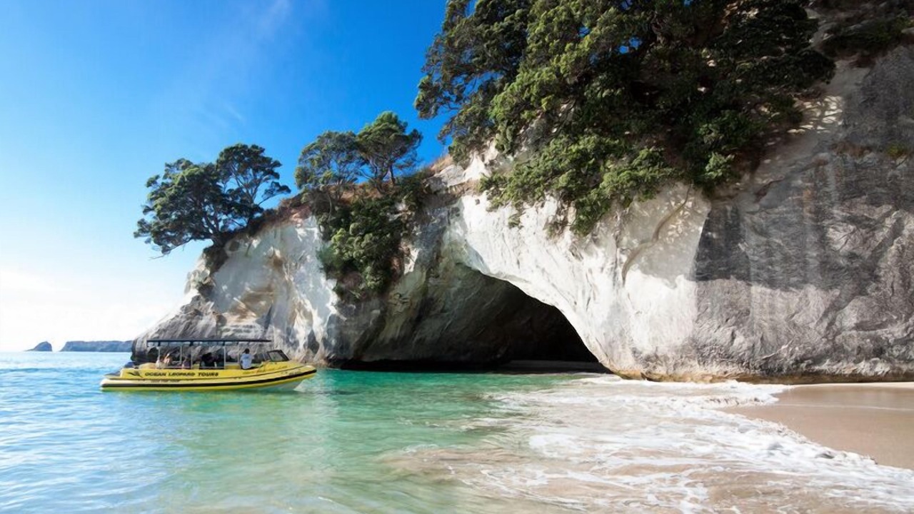 Photo of Others in Whitianga