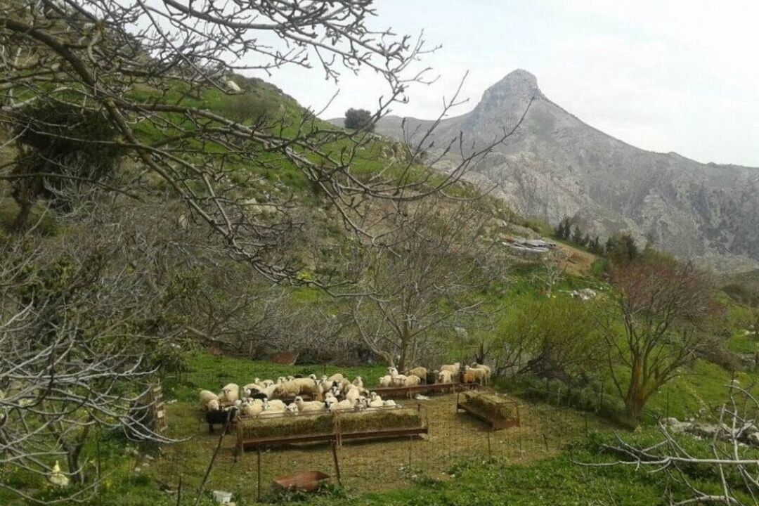 Photo of Others in Kapetaniana