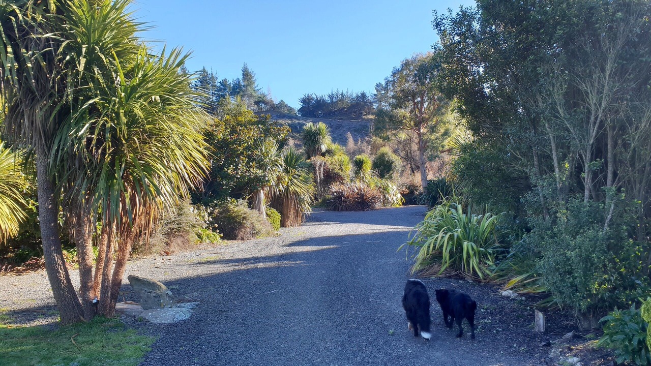 Photo of Outdoor in Shakespeare Bay