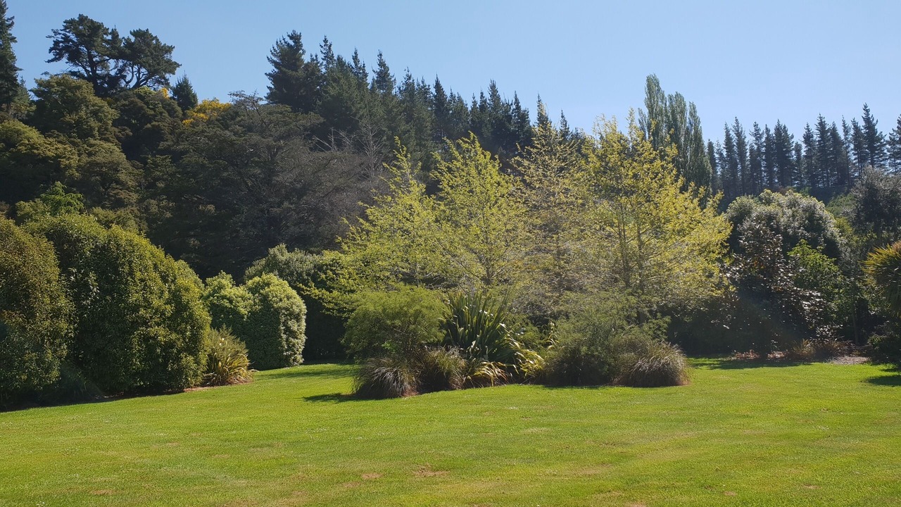 Photo of Outdoor in Shakespeare Bay